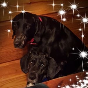 Meet your Posher, Debbie